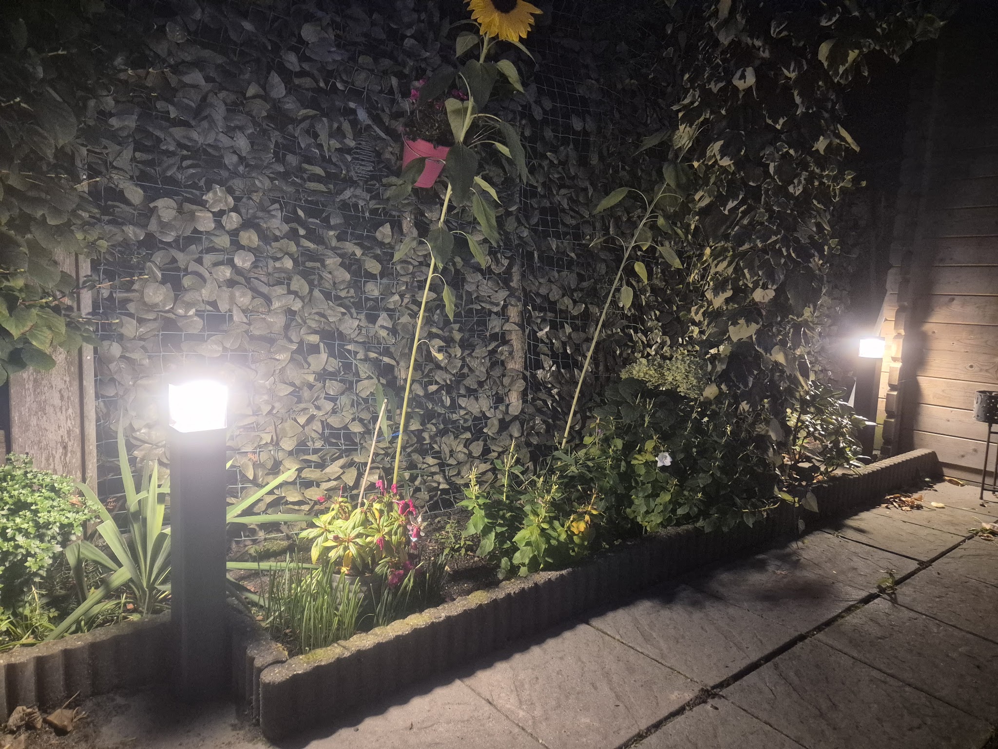 Twee nieuwe zwarte tuinlampen die 's avonds een border met planten verlichten